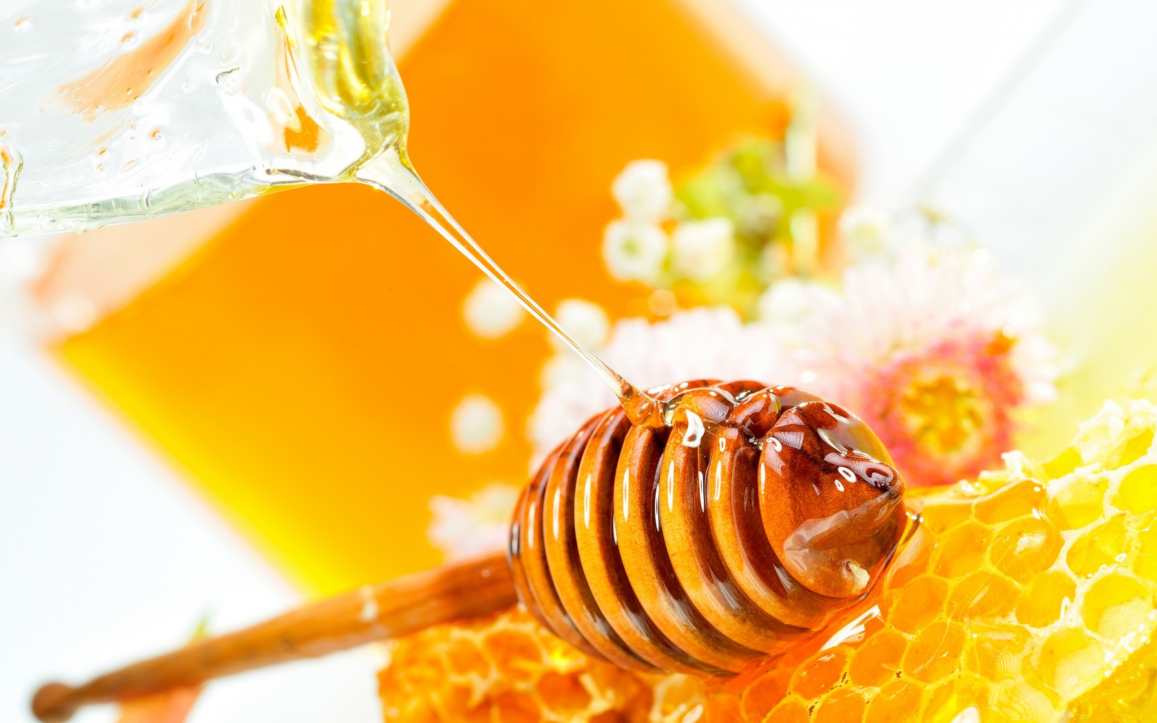 Cách phân biêt mật ong rừng thật và giả đơn giản 1