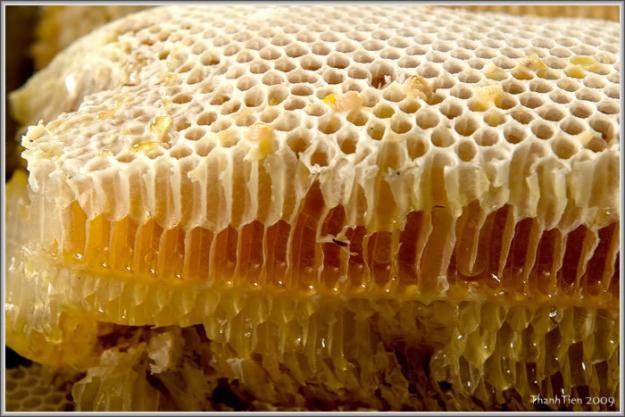 Công dụng của mật ong trong dân gian