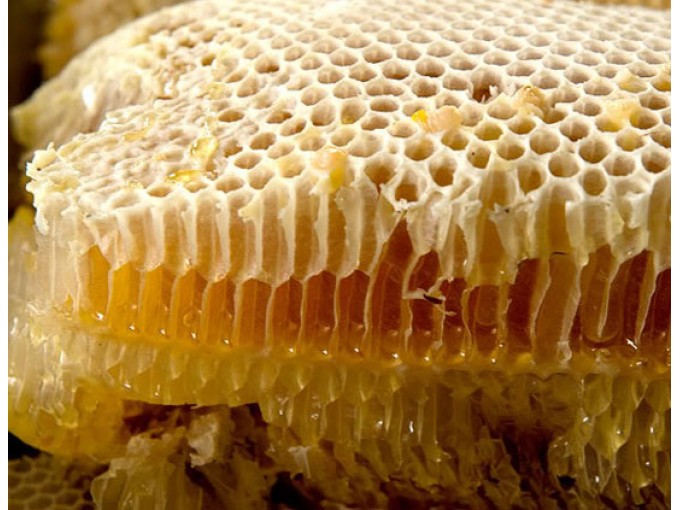 Địa chỉ mua mật ong rừng nguyên chất tại Hà Nội 2