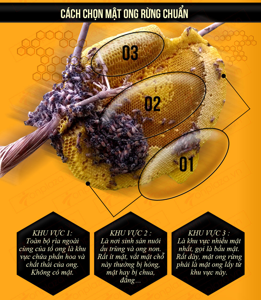 cách chọn mật ong rừng chuẩn chất lượng